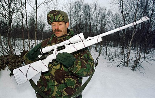 Steyr SSG-69 (Staffotografen Directie Voorlichting Ministerie van Defensie, CC0, via Wikimedia Commons)